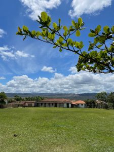 Estrada Real - Milho Verde