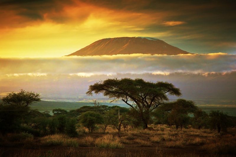 mount-kilimanjaro-savanna-in-amboseli-kenya