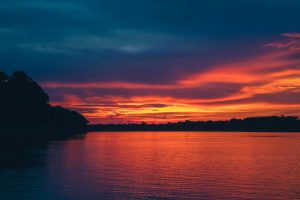 Amazônia Mamiraua