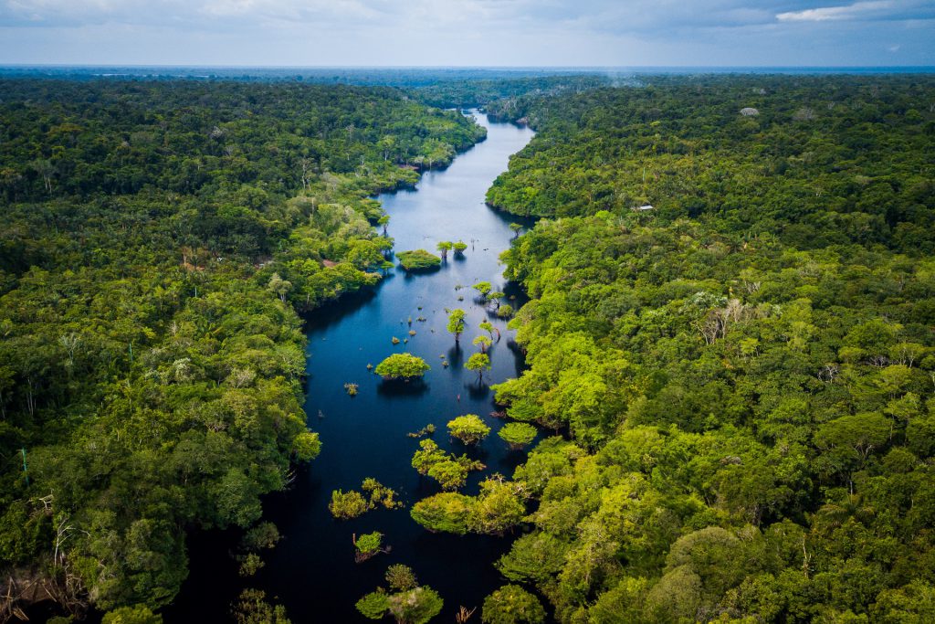 Linda paisagem na Amazônia