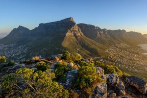 Lion's Head, África do Sul