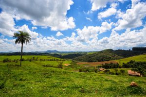 Chapada dos Veadeiros, um lugar de paz e natureza exuberante