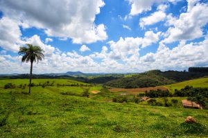 Chapada dos Veadeiros, um lugar de paz e natureza exuberante