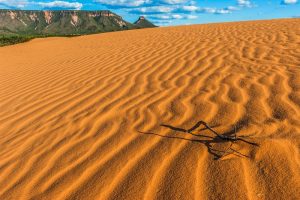 Dunas no Jalapão Galeria