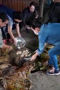 Experiências na Ilha de Chiloé