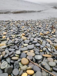 Uma grande e inesquecível surpresa chamada Los Lagos