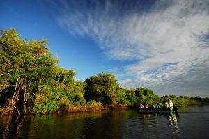 Floresta-Alagada-Rio-do-Coco-Parque-do-Cantão-galeria