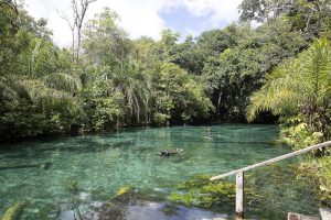 Flutuação em Bonito, Mato Grosso do Sul