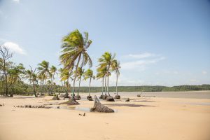 Ilha de Marajó