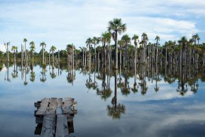 Lagoa das Araras Bom Jardim, Nobres