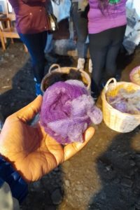 Vivência cultural pela região de Cochamó