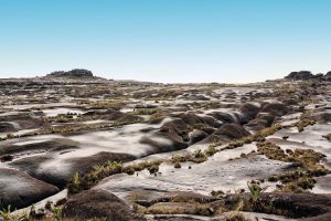 Monte Roraima