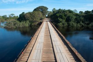 Pantanal