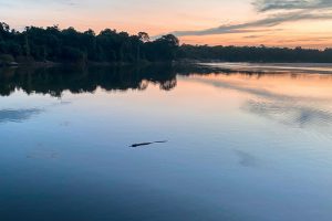 Parque do Cantão, no Tocantins