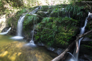 Créditos da Imagem: Siriema Ecotur Serras Gerais-