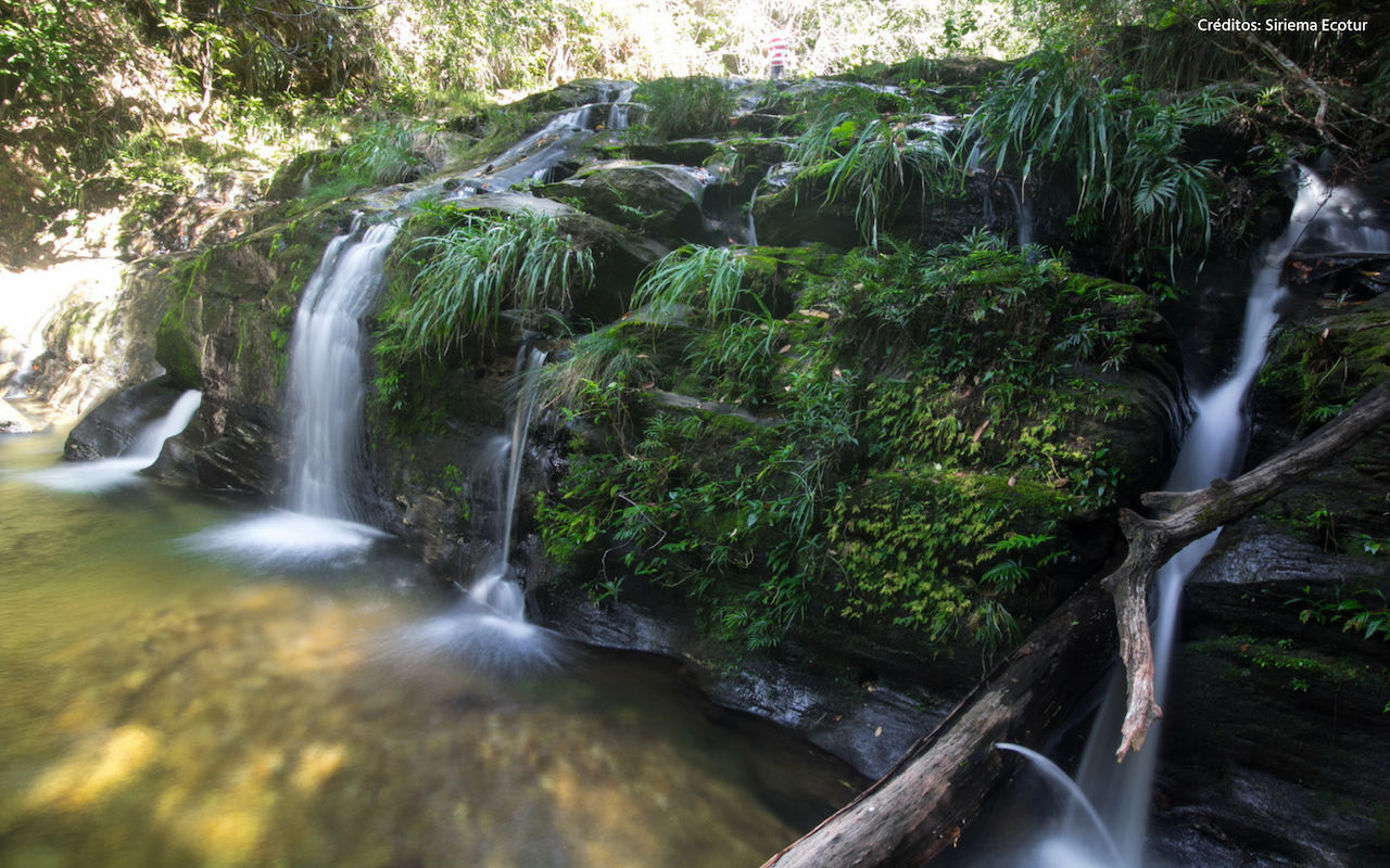 Créditos da Imagem: Siriema Ecotur Serras Gerais-