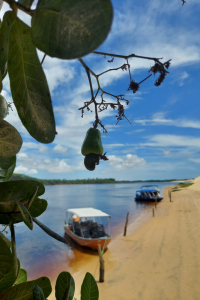 Um roteiro repleto de belezas naturais nos Lençóis Maranhenses