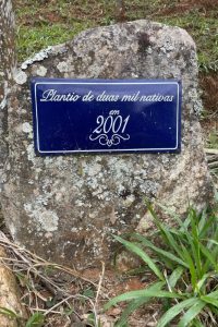Ações sustentáveis adotadas pelo Ibiti Projeto