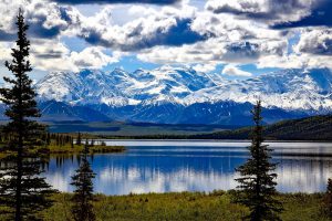 Parque Nacional Denali, Alasca