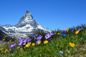 Alpes Suíços, Suíça