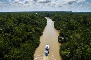 Amazônia-Galeria-800