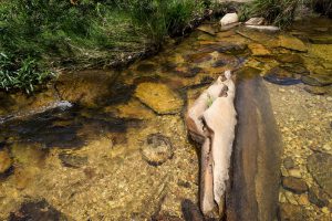 Cachoeira Serra Morena, na Serra do Cipó