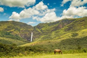 Viagem à Serra da Canastra