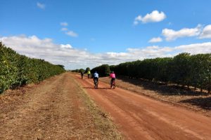 Circuito das Frutas