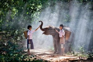 Uma incrível experiência no Laos