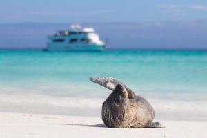 Galápagos