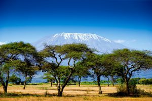 Kilimanjaro-Quênia-galeria