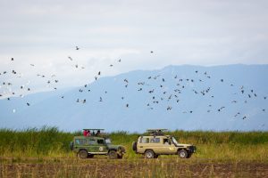 Lake Manyara National Park, Tanzânia