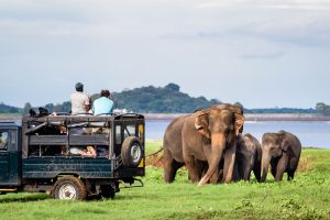 Minneriya Sri Lanka