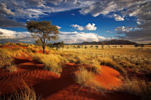 Paisagens da Namíbia