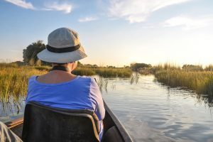 Okavango Delta Botsuana