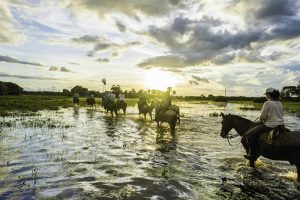 Pantanal Cavalgada Araras Lodge