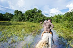 Pantanal um dos lugares para fazer turismo sustentável no Brasil