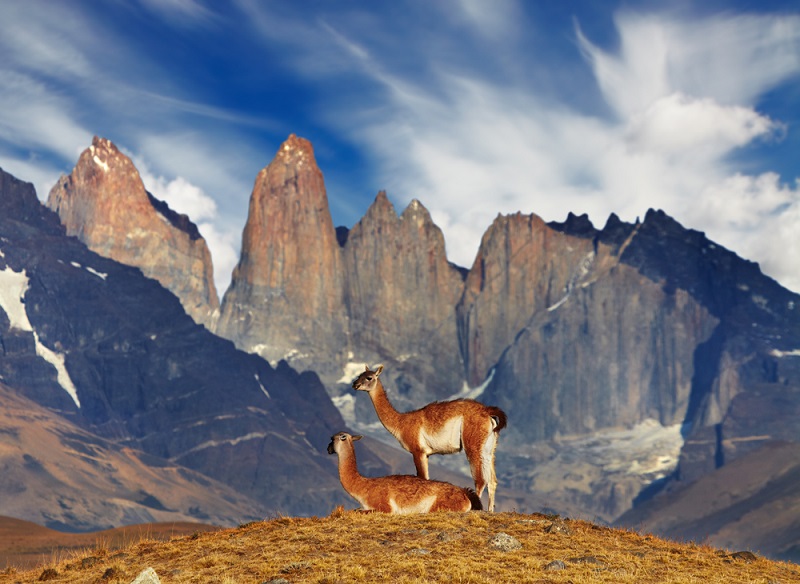 Parque Nacional Torres del Paine na Patagônia Chilena