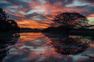 Pôr do Sol no Pantanal