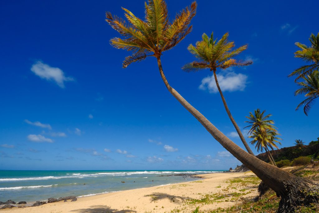 Imagem da Praia da Pipa no Rio Grande do Norte