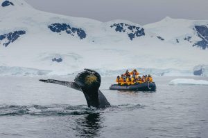 Quark Expeditions – Antártica Explorer