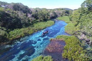 Rio Sucuri, Bonito, Mato Grosso do Sul