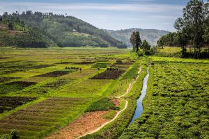 Linda paisagem em Ruanda