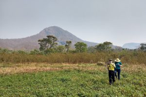 Pantanal Serra do Amolar