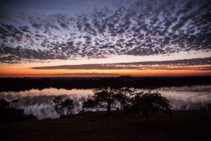 Pantanal Serra do Amolar Instituto Homem Pantaneiro