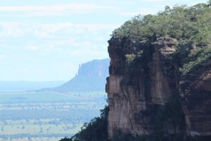 Serra do Roncador