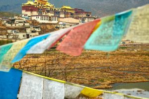 Tibete-2-galeria
