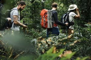 Experiência de Trekking