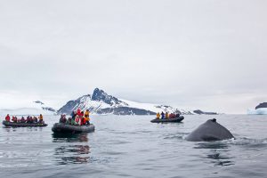 Antarctica 21: Classic Antartica Air Cruise