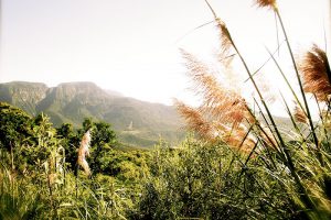 Aparados da Serra: A Terra dos Cânions